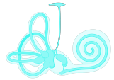 illustrations