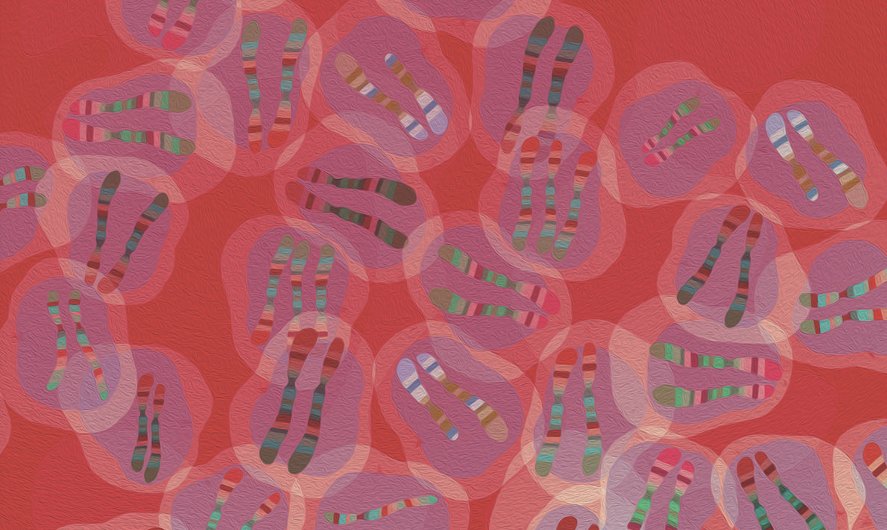 illustrations